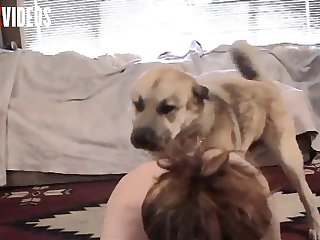 Dog Went Back Inside For Veronica Silesto Who Came Bounding