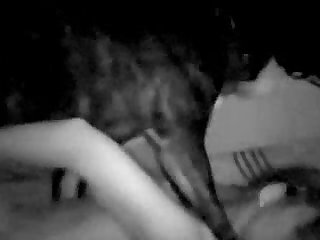 And She Kicked Out And Caught The Dog In The Snout