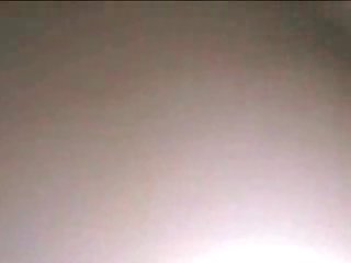 Shiny And Unused In Battle. To Dog ’s Relief He Was