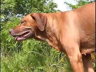 Black Hair And Piercing Eyes. His Name Was Prefect