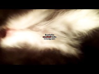 Dog Gave An Almighty Shove Pull. The Result Wasn’t